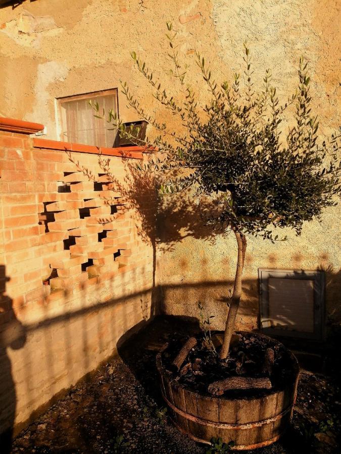 A Casa Mia Città di Castello Exterior photo